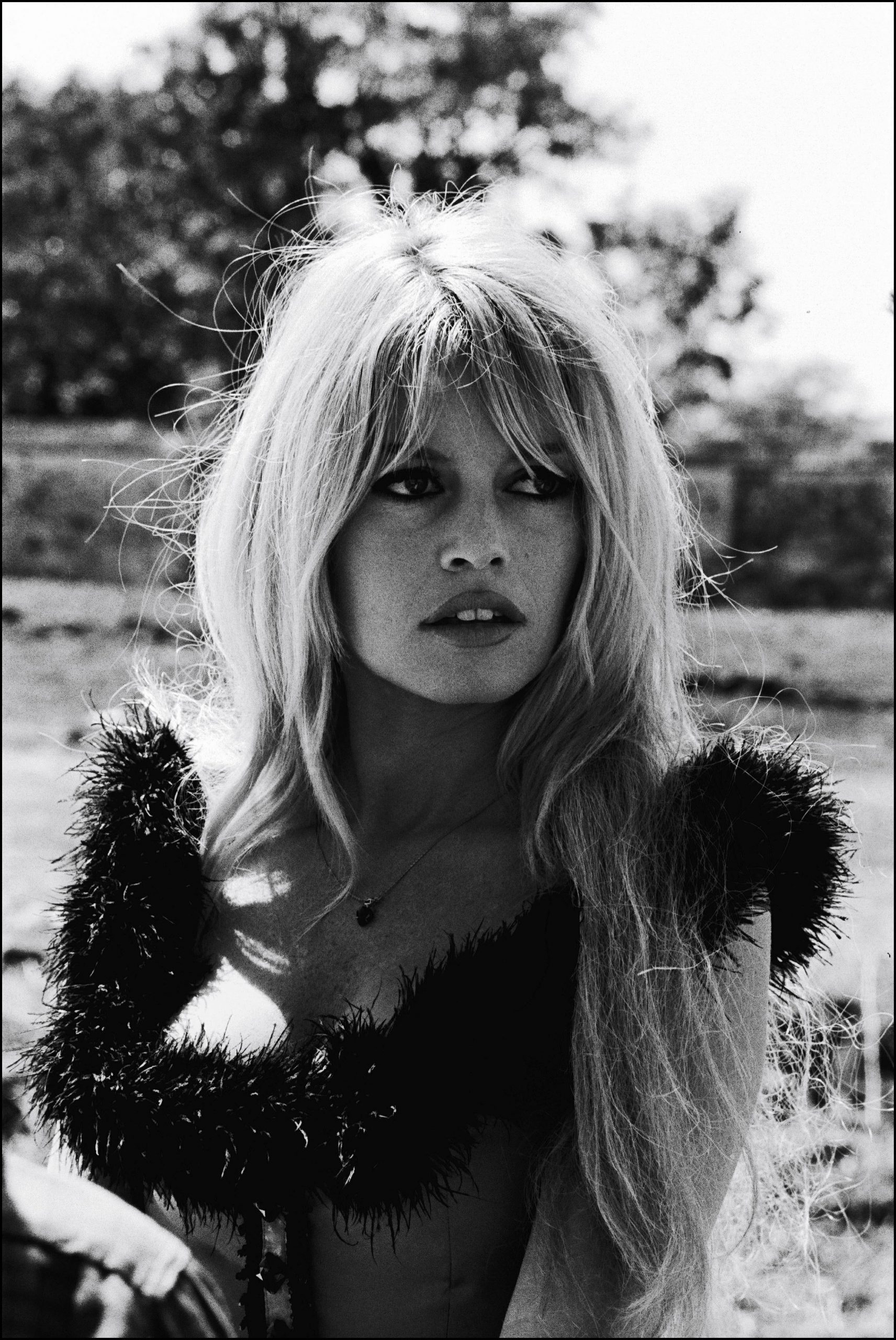 Photographie en noir et blanc de Brigitte Bardot